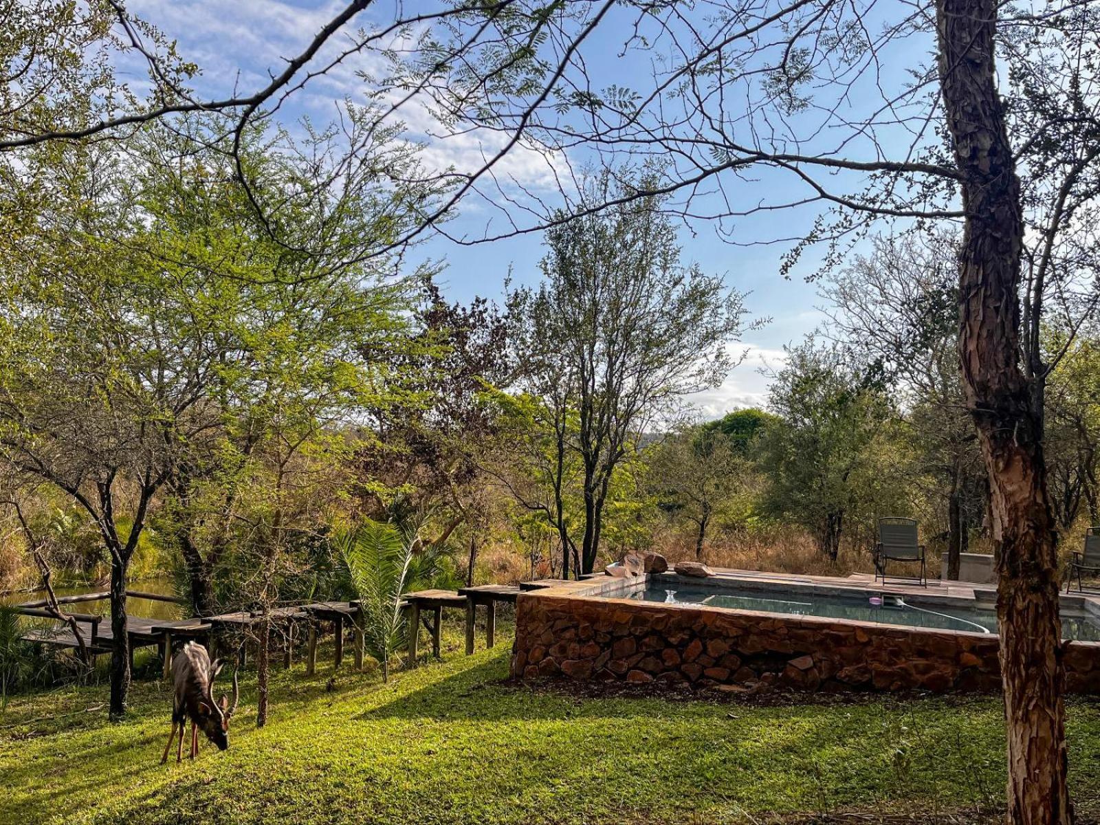 Mbuluzi Game Reserve Simunye 部屋 写真